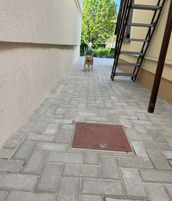 dlazbový chodnik trnava